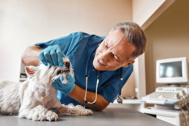 Best Same-Day Emergency Appointments in Vicksburg, MS
